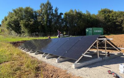 Autoconsumo solar para impulsar la producción de kiwi